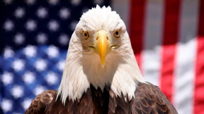 Ein Hoch auf die Unabhängigkeit