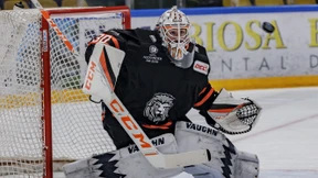 Kommen und Gehen bei den Löwen