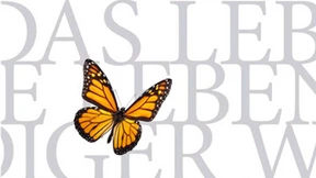 Wir müssen die Wirklichkeit von innen sehen