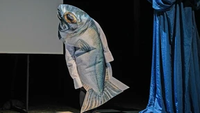 Der Star als Goldfisch ohne Gedächtnis