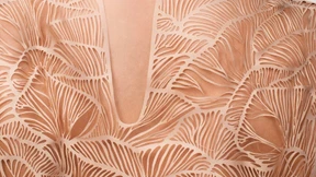 Designerin will aus Pilzen Kleider herstellen