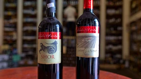 Israel wirft Grünen Aufruf zum Boykott vor