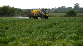 Ein Pestizid schadet seinem Konzern