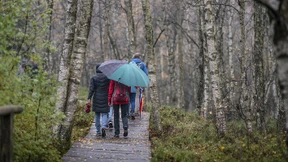 Hessischer Sommer war überdurchschnittlich warm und nass