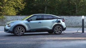 Der Kaktus verliert die Stacheln