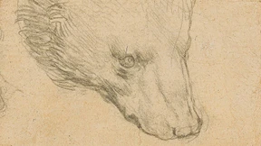 Wie viele Millionen bringt der Bär auf dem rosafarbenen Papier?