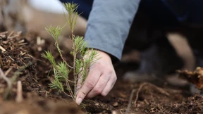 Umweltschutz ist kein Marketinggag