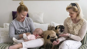 Hunde geben uns Liebe