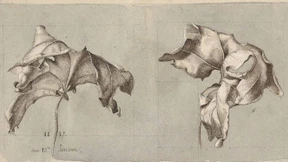 Wunder der Zeichenkunst