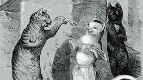 Würde ich mich nicht gut als Historiker machen?