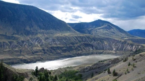 Was ist schon ein Grizzly im Garten?