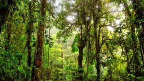 Fracking sollte verboten werden