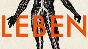 Nein, du sollst nicht überfahren werden