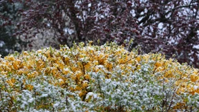 Nach dem Kälteinbruch bleiben die Aussichten trübe