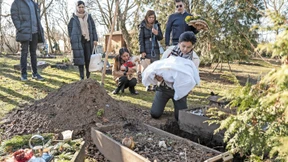 Wie man die Bestattung seines Haustieres organisiert