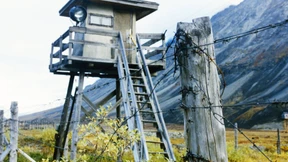 Jede Flucht ist eine Wette mit dem Tod