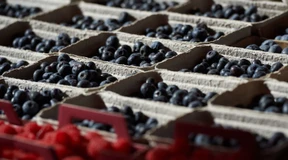 Warum ist die Inflation gerade in Deutschland so hoch?