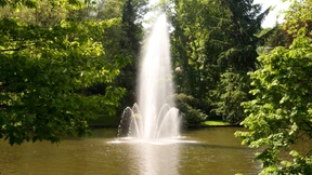 Sie sind pleite - aber in Partylaune 