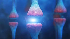 Neurovaskuläre Zentren verbessern die Versorgung