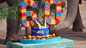 Am Geburtstag Steuern sparen