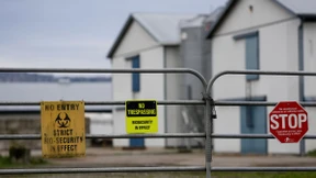 Erster Vogelgrippe-Toter in den USA