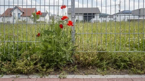 Eingezäunter Stillstand