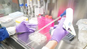 Corona-Sublinie XBB.1.5 in Deutschland bislang kaum nachgewiesen