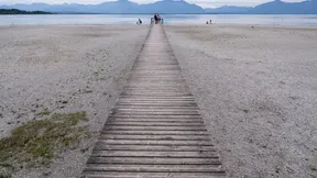 Wenn Hitze auf Dürre trifft