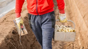 Nicht jede Hilfe hilft den Landwirten