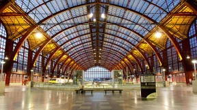 Was träumt der Kopfsalat im Mondenschein?