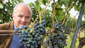 „Vereine können ein Anker sein“