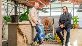 Fische füttern das Gemüse