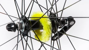 Die haarige Raupe Nimmersatt leckt die Nabe blank