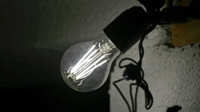 Die schnellste Basistechnologie aller Zeiten