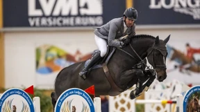 Sie scharren mit den Hufen