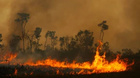 Heftige Waldbrände im Amazonasgebiet