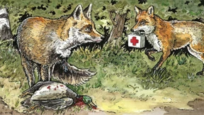 Mehr Rechte für die Patienten