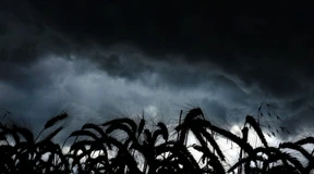 Viele Schuldige und ein Serientäter: der Klimawandel