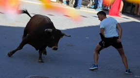 Vorwärts, ihr Bullen!