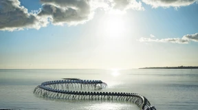 Das Ungeheuer, der Sternengarten und die See