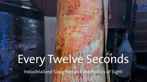 Alle zwölf Sekunden