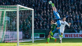 Ein faules Ei von Hradecky