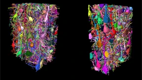 Neue Ordner im Oberstübchen