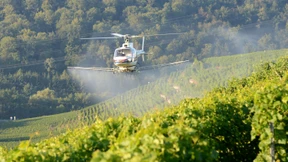 Die Ewigkeitschemikalie TFA ist im Wein – und damit überall