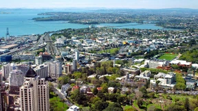 Eine Million Dollar Wertzuwachs in nur sechs Monaten 