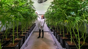 Das Ende der Hegemonie des grünen Denkens