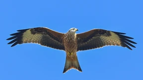 Streit um Musikfestival am Rande von Naturschutzgebiet