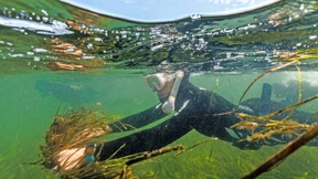 Leserbriefe vom 28. Oktober 2023