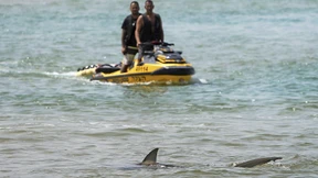 „Schmuck zieht manche Haie an“