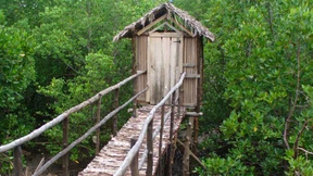 Vom Müssen und Dürfen auf den fünf Kontinenten